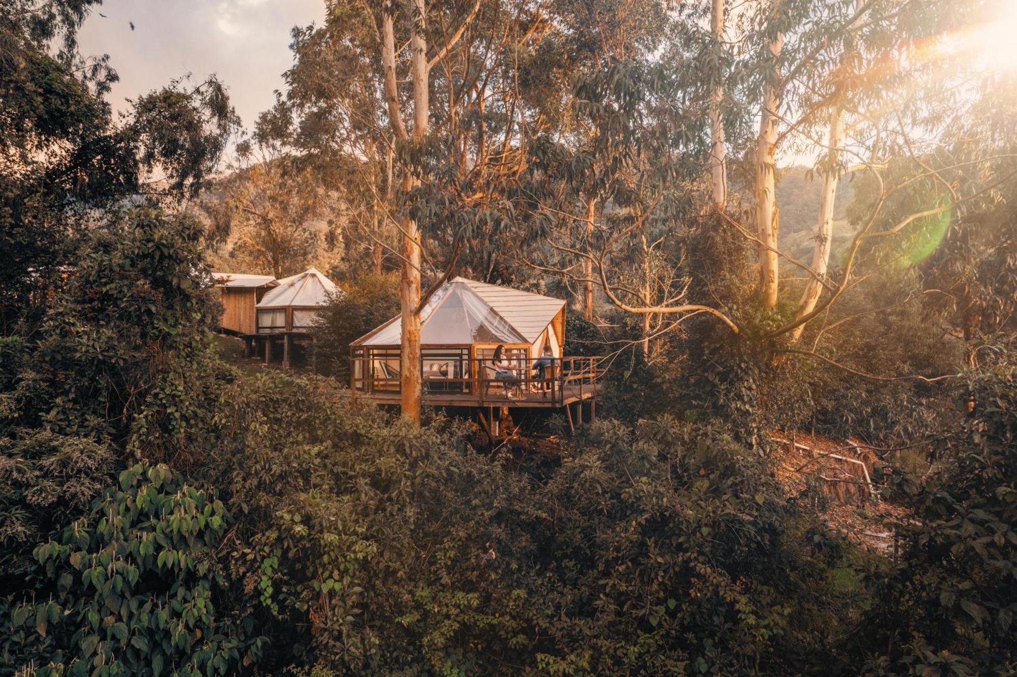 Glamping Lumbre Villa Salento Dış mekan fotoğraf