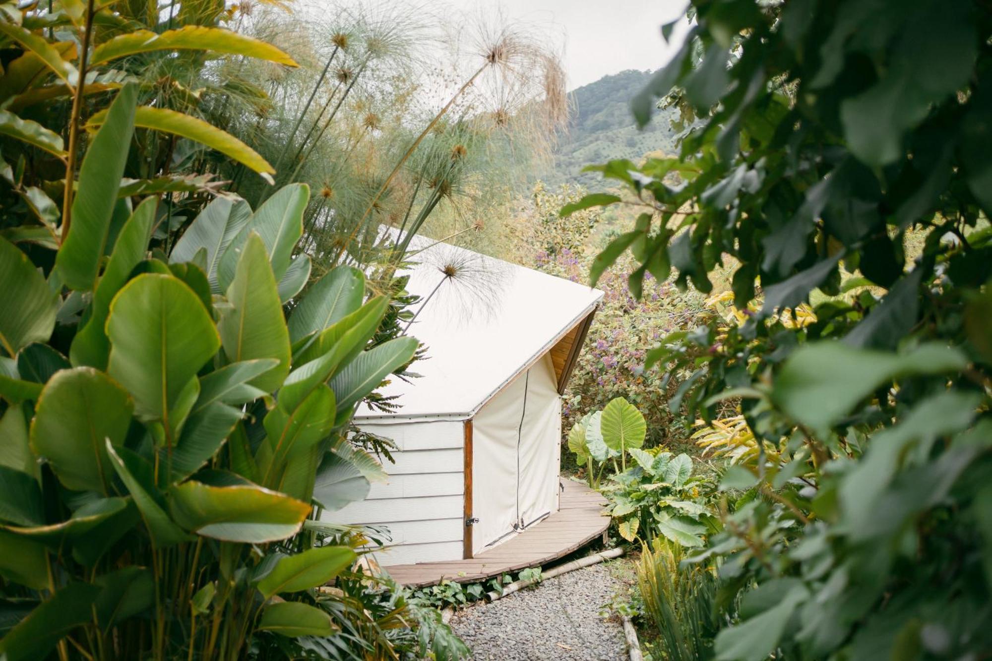 Glamping Lumbre Villa Salento Dış mekan fotoğraf